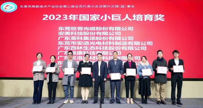 南瓜影院免费观看获 - 国家小巨人培育奖